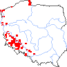 wystepowanie - Sagina ciliata (karmnik bezpłatkowy)