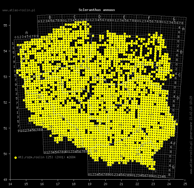 wystepowanie - Scleranthus annuus (czerwiec roczny)