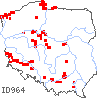 wystepowanie - Spergularia salina (muchotrzew solniskowy)