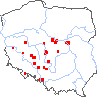 wystepowanie - Spergula pentandra (sporek pięciopręcikowy)