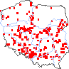 wystepowanie - Kochia scoparia (mietelnik żakula)