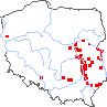 wystepowanie - Kochia laniflora (mietelnik piaskowy)