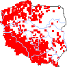 wystepowanie - Chenopodium bonus-henricus (komosa strzałkowata)