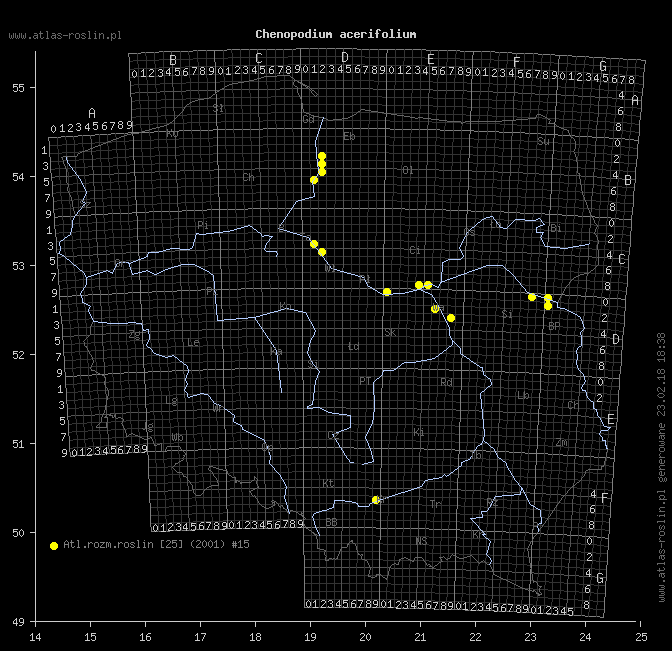wystepowanie - Chenopodium acerifolium (komosa ostroklapowa)