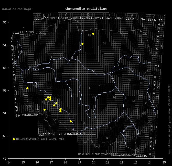 wystepowanie - Chenopodium opulifolium (komosa kalinolistna)