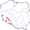 wystepowanie - Chenopodium opulifolium (komosa kalinolistna)