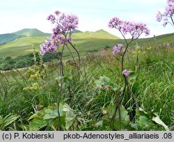 Adenostyles alliariae (miłosna górska)